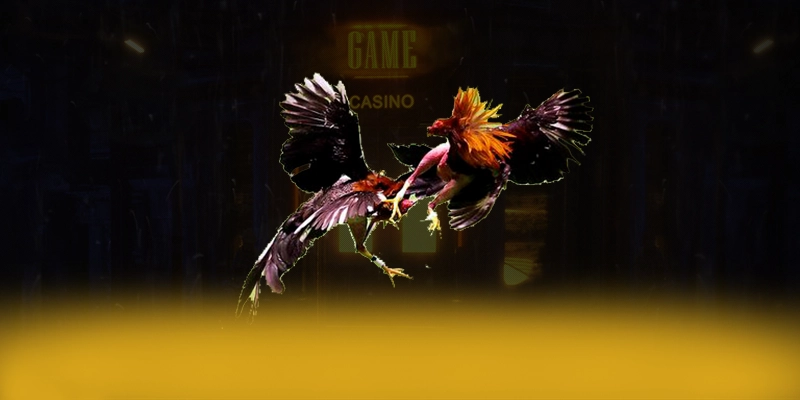 
Khám phá 9Bet - Cổng giải trí đáng chơi nhất số 1 Việt Nam
