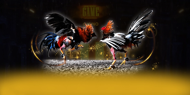 tài xỉu online – Thương hiệu hàng đầu Việt Nam, khẳng định vị thế hàng đầu tại Việt Nam.