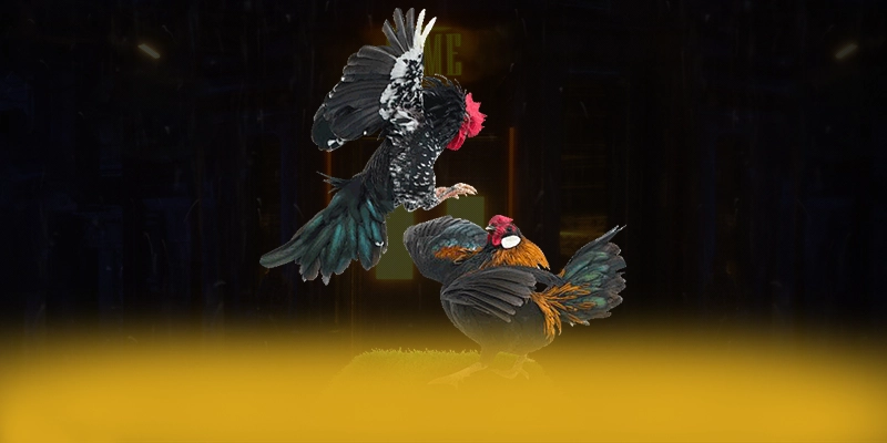 DAGA88 - Nhìn lại toàn bộ ưu điểm một cách chi tiết. DAGA88 - Nhìn lại toàn bộ ưu điểm một cách chi tiết.