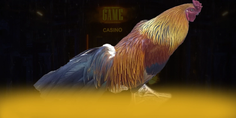 UU88 - Cổng game hào phóng tại Việt Nam – Điểm qua UU88