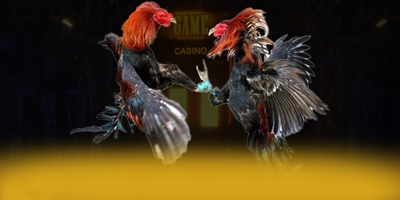 VWIN - Cổng game hào phóng hiện nay – Săn ngay VWIN