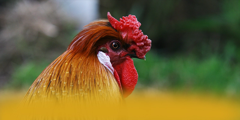 W88 – Sân chơi được tin dùng, được cộng đồng game thủ tin tưởng. W88 – Sân chơi được tin dùng, được cộng đồng game thủ tin tưởng.