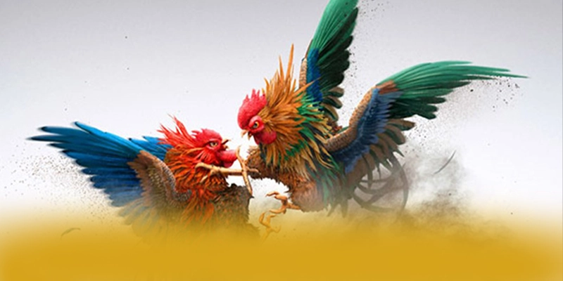 tài xỉu online - Tổng hợp đánh giá một cách toàn diện.