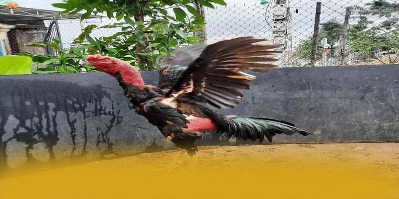 SUNWIN - Nền tảng cá cược được game thủ yêu thích 2025 – Tìm hiểu SUNWIN