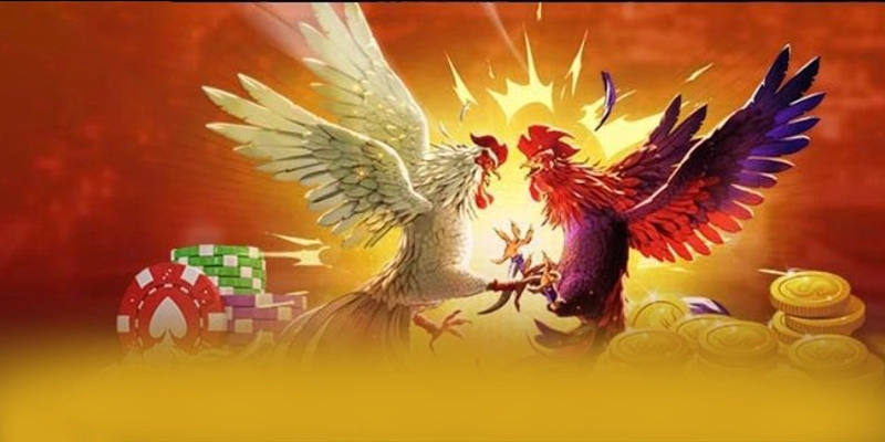 W88 - Trang game uy tín được người chơi tin dùng – Khám phá ngay W88 W88 - Trang game uy tín được người chơi tin dùng – Khám phá ngay W88