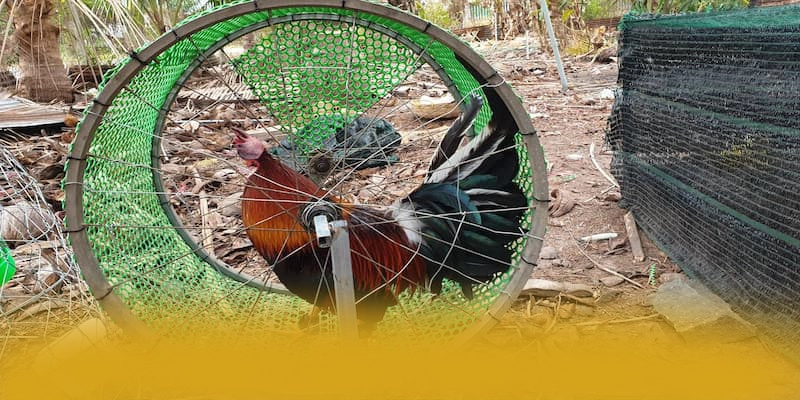 GEM88 - Trang game giá trị nhất được quan tâm nhất – Khám phá ưu đãi hot của GEM88