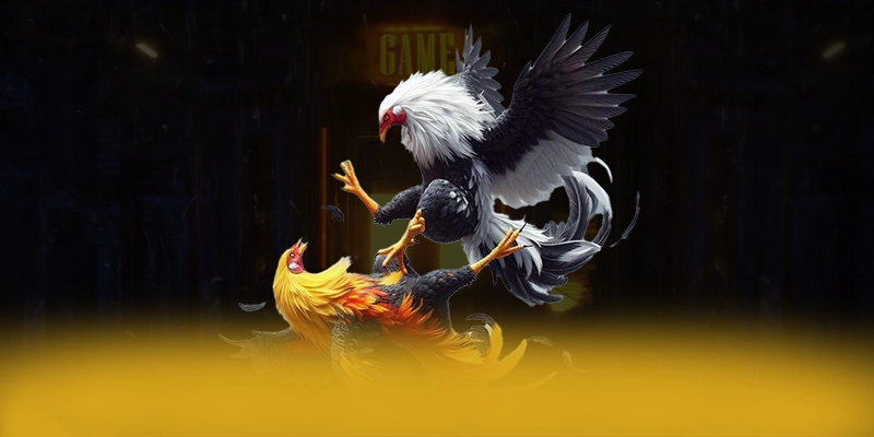 88VV - Thương hiệu game uy tín với hệ thống bảo mật hiện đại được người chơi tin dùng – Khám phá ngay 88VV 88VV - Thương hiệu game uy tín với hệ thống bảo mật hiện đại được người chơi tin dùng – Khám phá ngay 88VV